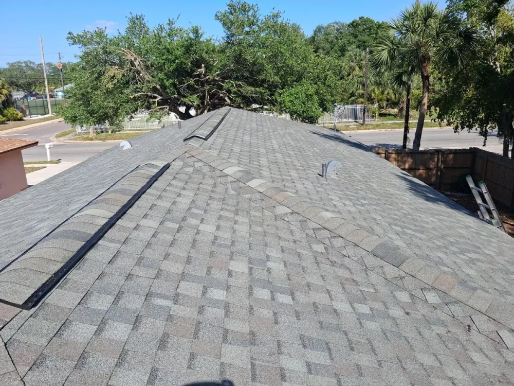Completed architectural shingle roof showing ridge detail on a Sarasota home